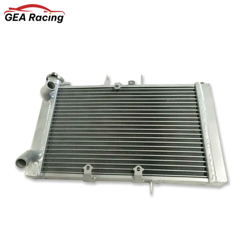 Front view of the high-efficiency aluminum radiator for the 2010-2014 Triumph Tiger 800, showing core and mounting points.