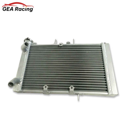 Front view of the high-efficiency aluminum radiator for the 2010-2014 Triumph Tiger 800, showing core and mounting points.